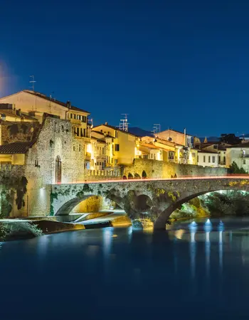 cantucci-or-cantuccini-2021-08-28-02-50-03-utc (1) (1).jpg