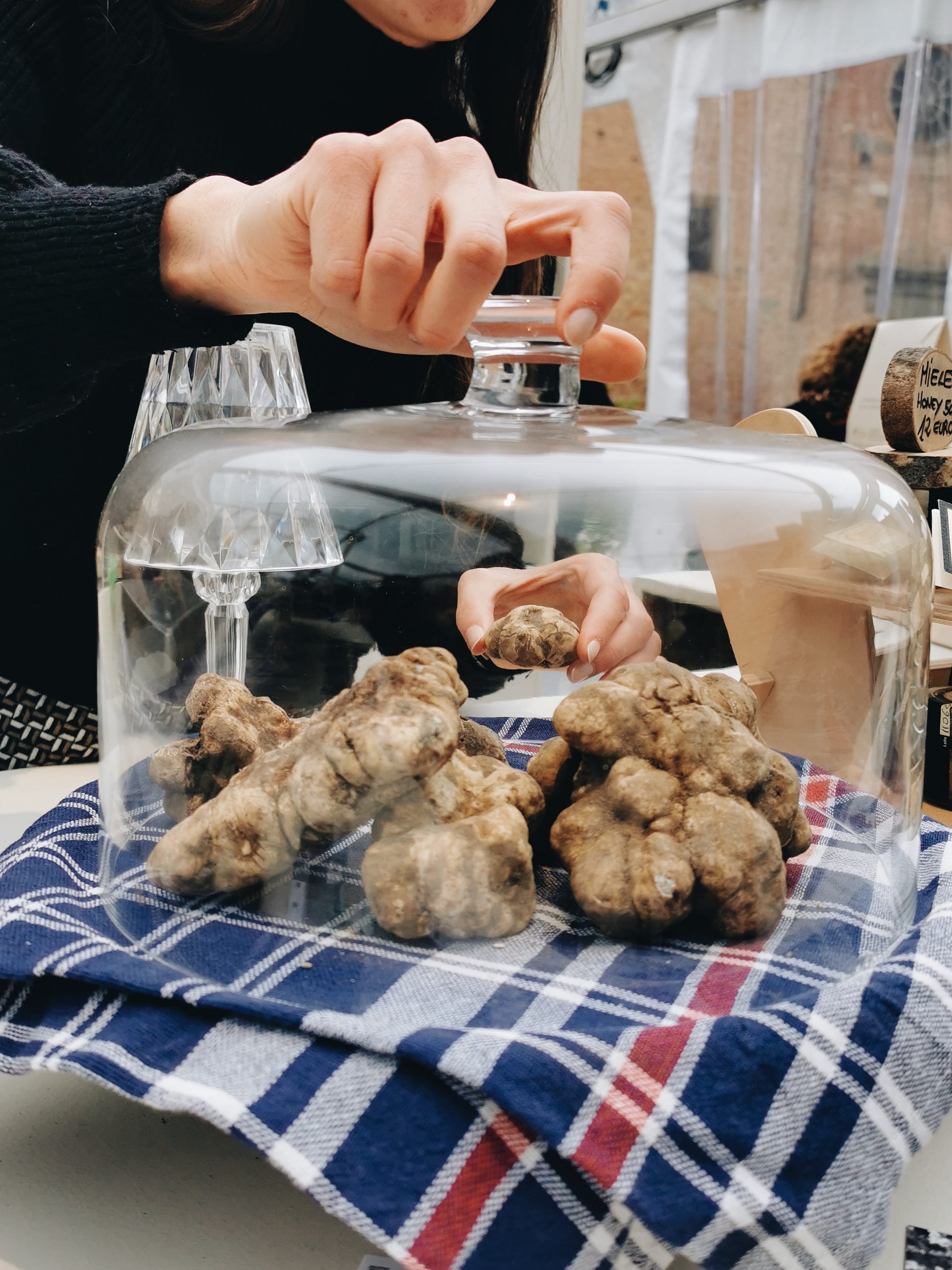 San Gimignano: Tuscany Truffle Hunting with Wine and Lunch