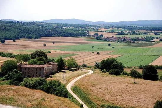 summer-in-tuscany-2022-02-05-00-38-36-utc (2) (1).jpg