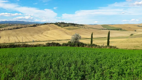 crete-senesi.webp
