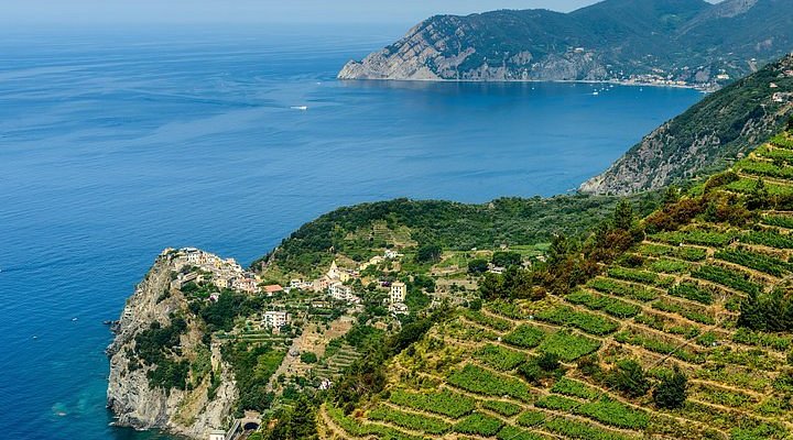 Dunes and pines at Tombolo di Cecina