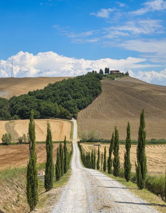 monteroni-d-arbia-route-of-the-via-francigena-wi-2021-09-04-16-06-32-utc (1).jpg