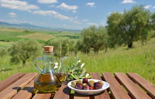 Olive oil production